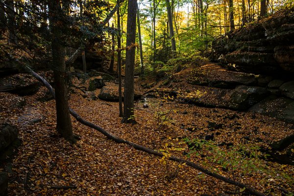 Quels sont les meilleurs sentiers pour une randonnée dans le parc national des grands Tétons, USA?